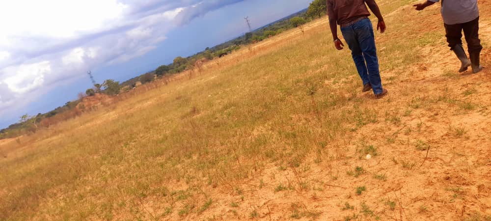 Kazungula Project Site flat land probid energy